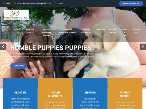 Humblepuppiesforsale.store - Golden Retriever Puppy Scam Review