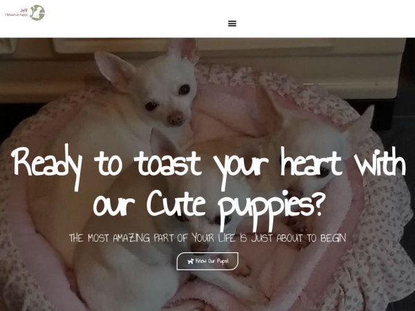 Jeffchihuahuapuppy.com - Chihuahua Puppy Scam Review