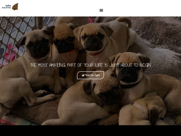 Johnpugpuppy.com - Pug Puppy Scam Review