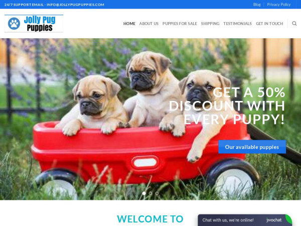 Jollypugpuppies.com - Pug Puppy Scam Review