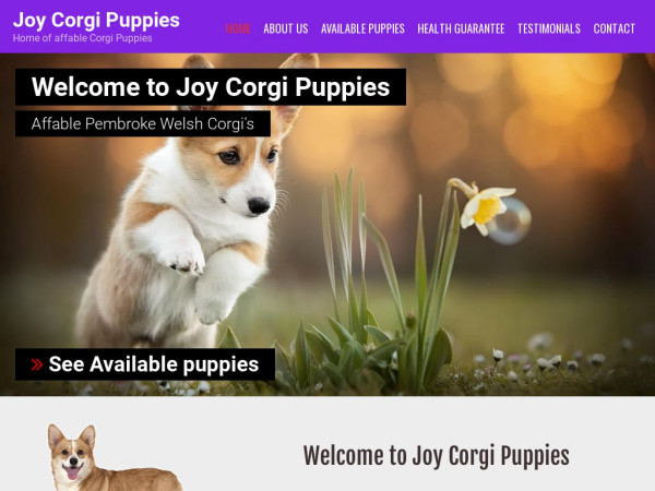 Joycorgipuppies.com - Corgi Puppy Scam Review