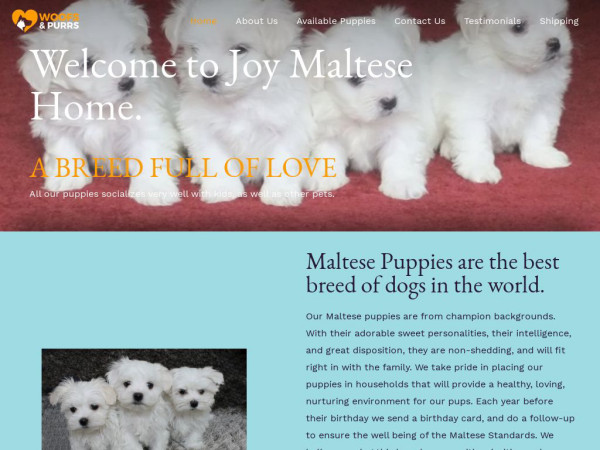 Joymaltesepupsfamily.com - Maltese Puppy Scam Review