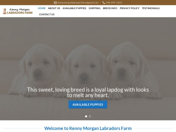 Kennymorganlabradorsfarm.com - Golden Retriever Puppy Scam Review