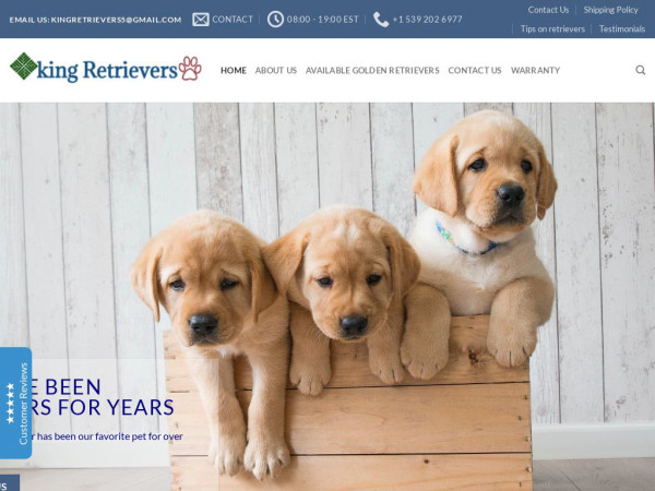 Kingretrievers.com - Golden Retriever Puppy Scam Review