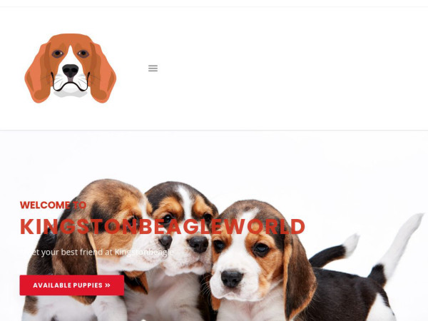 Kingstonbeagleworld.com - Beagle Puppy Scam Review