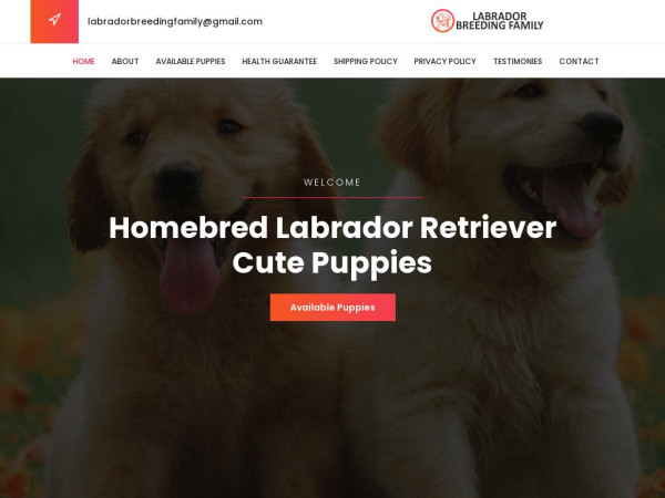 Labradorbreedingfamily.com - Labrador Puppy Scam Review