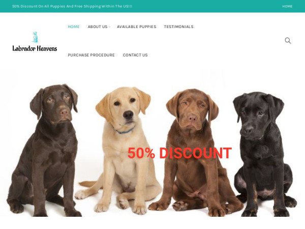 Labradorheavens.com - Golden Retriever Puppy Scam Review