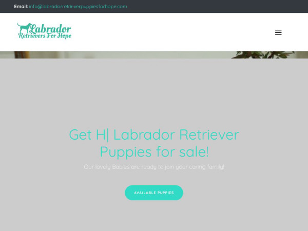 Labradorretrieverpuppiesforhope.com - Golden Retriever Puppy Scam Review