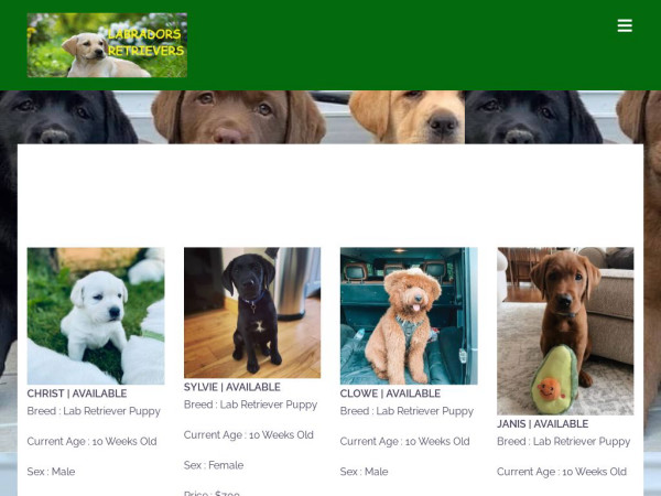 Labradorsretrievers.com - Golden Retriever Puppy Scam Review