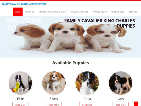 Lakesidecavalierkingcharlespuppies.com - Cavalier King Charles Spaniel Puppy Scam Review