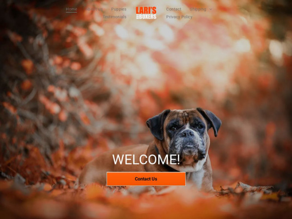 Larisboxers.com - Boxer Puppy Scam Review