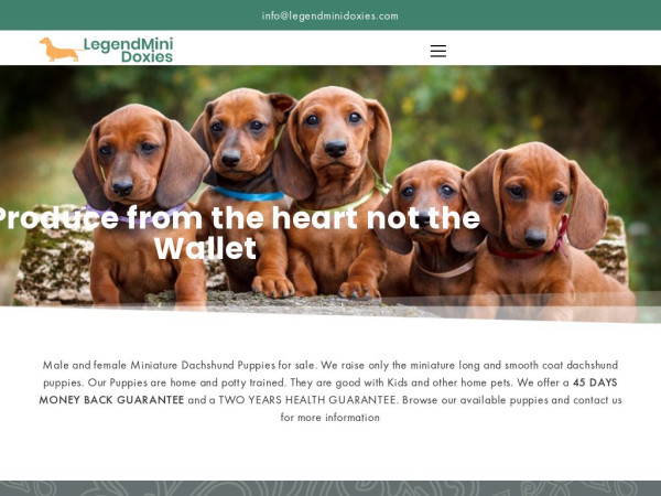 Legendminidoxies.com - Dachshund Puppy Scam Review