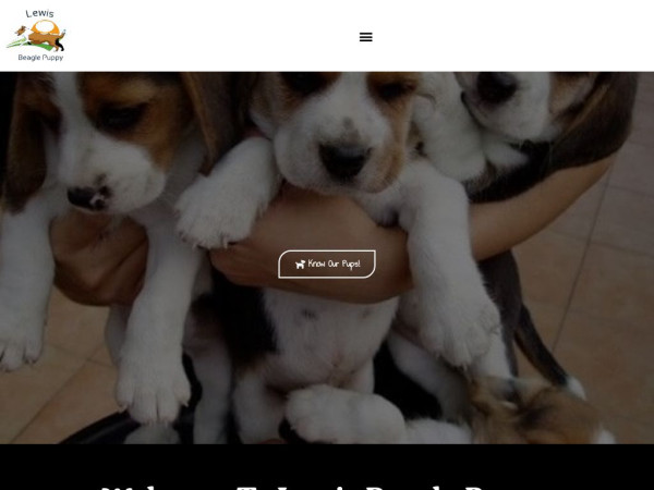 Lewisbeaglepuppy.com - Beagle Puppy Scam Review