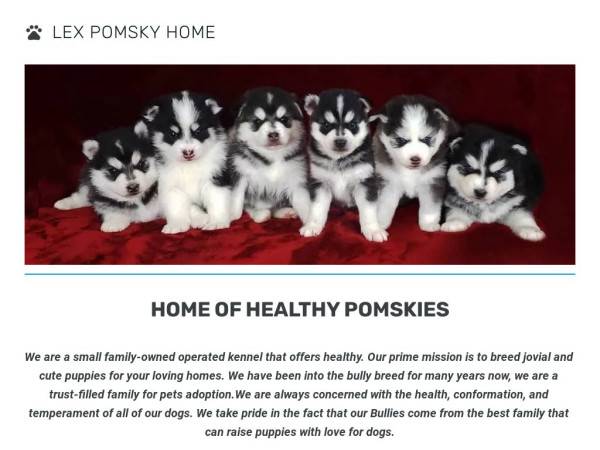 Lexpomskyhomes.com - Pomeranian Puppy Scam Review