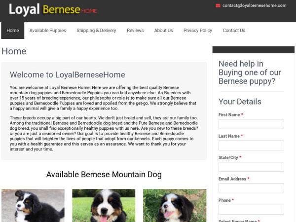 Loyalbernesehome.com - Bernese Mountain Dog Puppy Scam Review