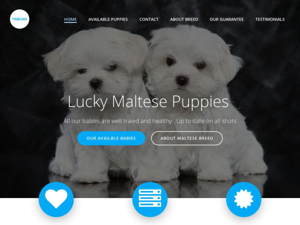 Luckymaltesepups.com - Maltese Puppy Scam Review