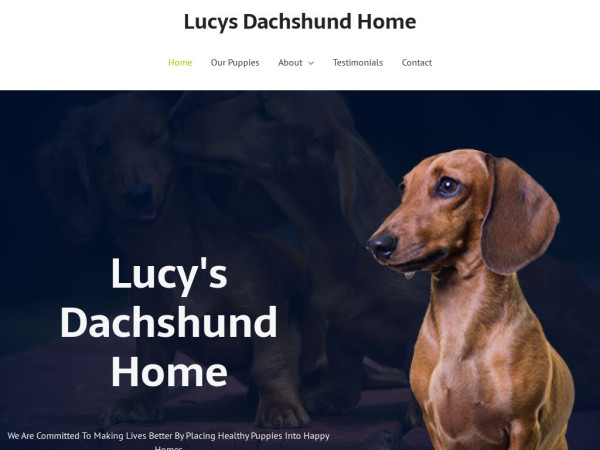 Lucysdachshundhome.com - Dachshund Puppy Scam Review