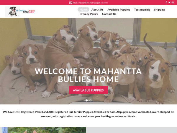 Mahanttabullies.com - Pit Bull Puppy Scam Review