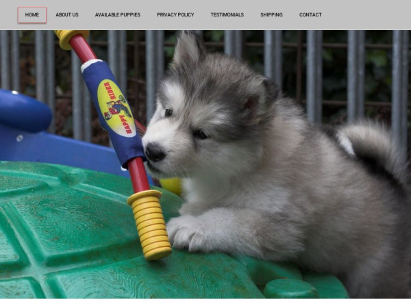 Malamutepupshome.com - Malamute Puppy Scam Review