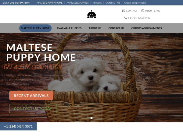 Maltesepuppyhome.com - Maltese Puppy Scam Review