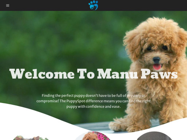 Manupaws.com - Shihtzu Puppy Scam Review