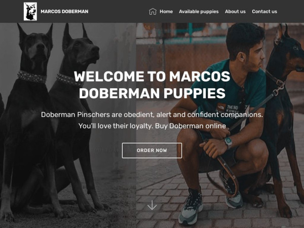 Marcosdobermanpupsforsale.com - Doberman Pinscher Puppy Scam Review