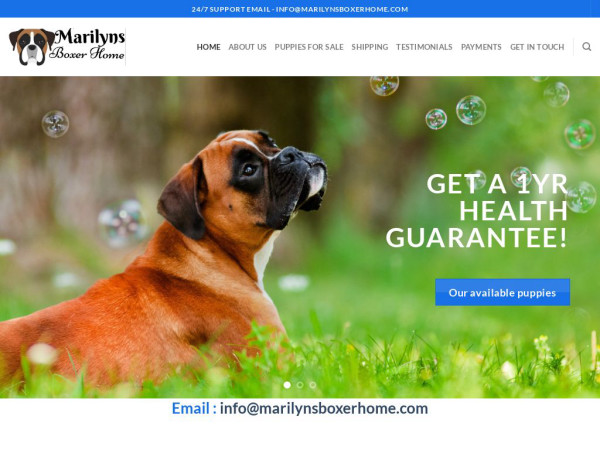 Marilynsboxerhome.com - Boxer Puppy Scam Review