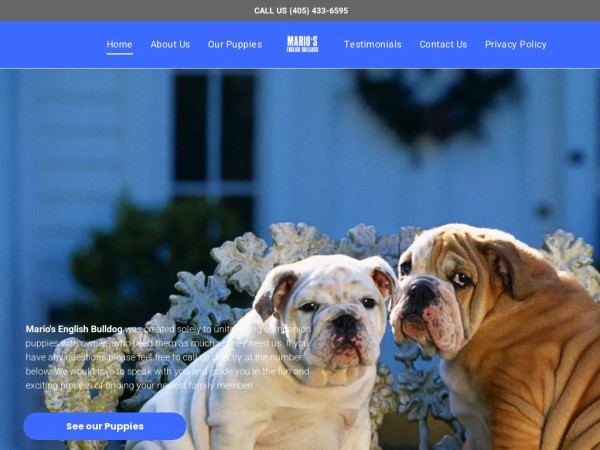 Mariosenglishbulldogs.com - English Bulldog Puppy Scam Review