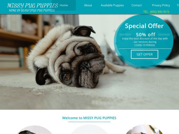 Masterpugpuppies.com - Pug Puppy Scam Review