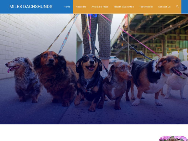 Milesdachshunds.com - Dachshund Puppy Scam Review