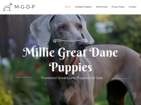 Milliegreatdanepuppies.com - Great Dane Puppy Scam Review