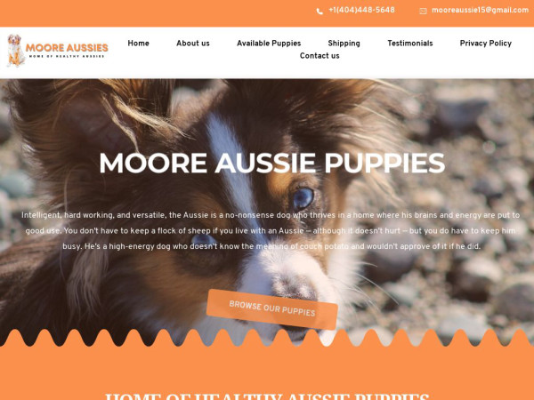 Mooreaussies.com - Australian Shepherd Puppy Scam Review