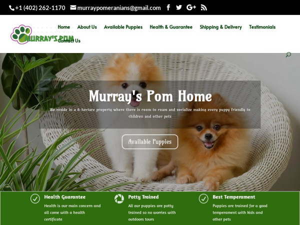 Murraypomeranians.com - Pomeranian Puppy Scam Review