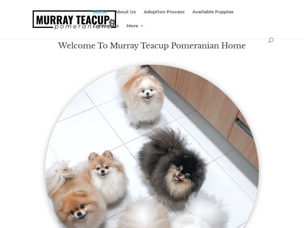 Murrayteacuppomhome.com - Pomeranian Puppy Scam Review