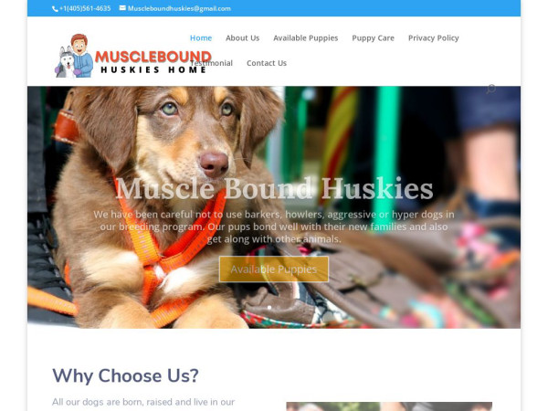 Muscleboudhuskies.com - Husky Puppy Scam Review