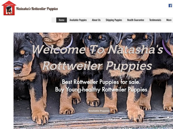 Natasharottweilerpuppies.com - Rottweiler Puppy Scam Review