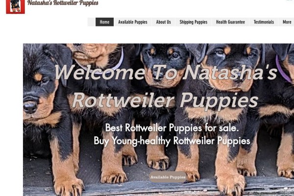 ⭐ Review of Natasharottweilerpuppies 