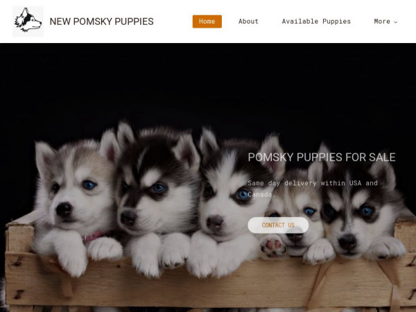 Newpomskypuppieshome.com - Pomeranian Puppy Scam Review