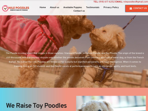 Nilepoodles.com - Poodle Puppy Scam Review