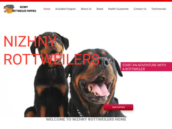 Nizhnyrottweilers.com - Rottweiler Puppy Scam Review