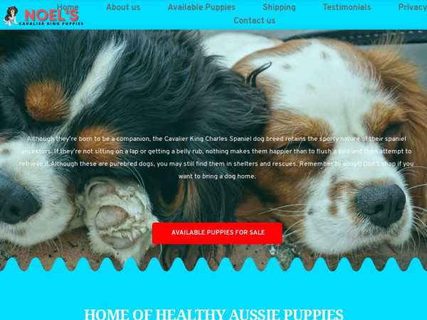 Noelscavalierkingpuppies.com - Cavalier King Charles Spaniel Puppy Scam Review