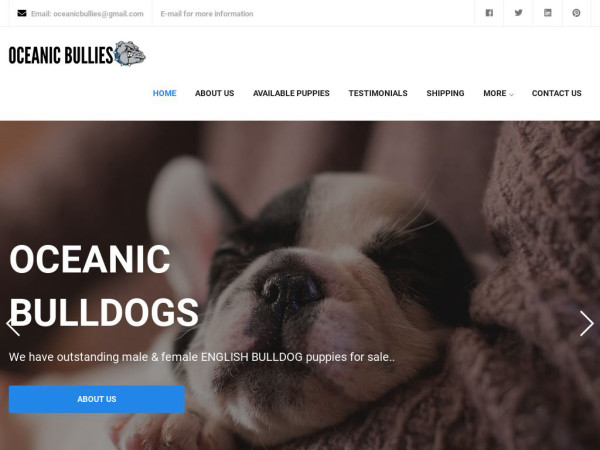 Oceanicbullies.com - English Bulldog Puppy Scam Review