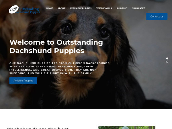 Outstandingdachshundpuppies.com - Dachshund Puppy Scam Review