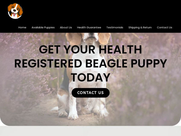 Patrickbeaglepuppyhome.com - Beagle Puppy Scam Review