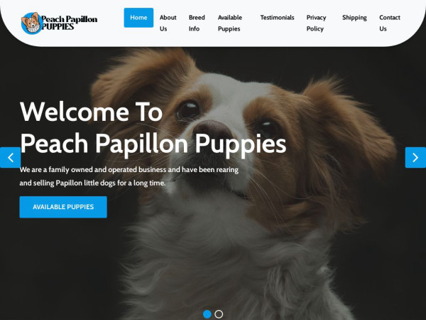 Peachpupshome.com - Papillon Puppy Scam Review