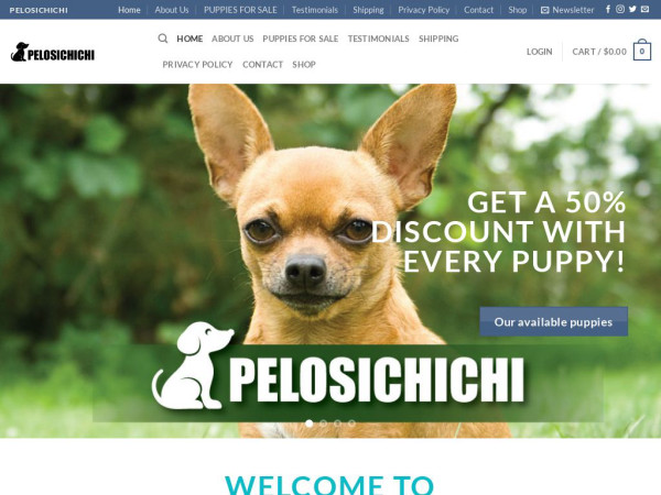 Pelosichichi.com - Chihuahua Puppy Scam Review