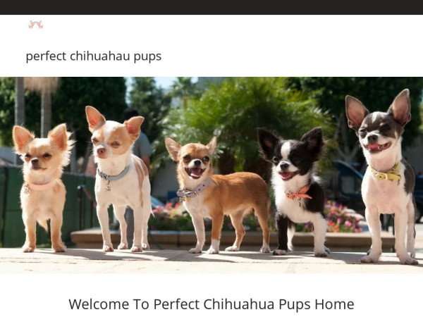 Perfectchihuahuahome.net - Chihuahua Puppy Scam Review