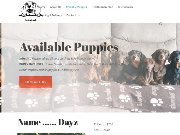 Phamsdachschundparadise.com - Dachshund Puppy Scam Review