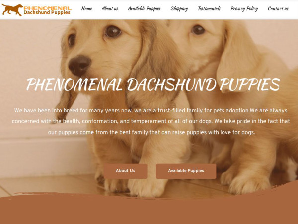 Phenomenaldachshundpuppies.com - Dachshund Puppy Scam Review