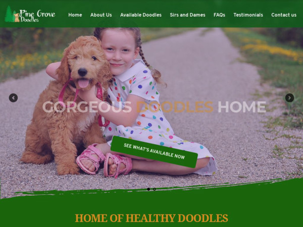 Pinegrovedoodles.com - Golden Doodle Puppy Scam Review